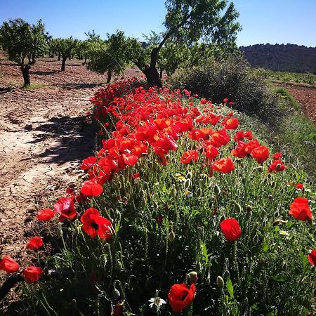 Cortijo Los Soledad El Sauco Bagian luar foto