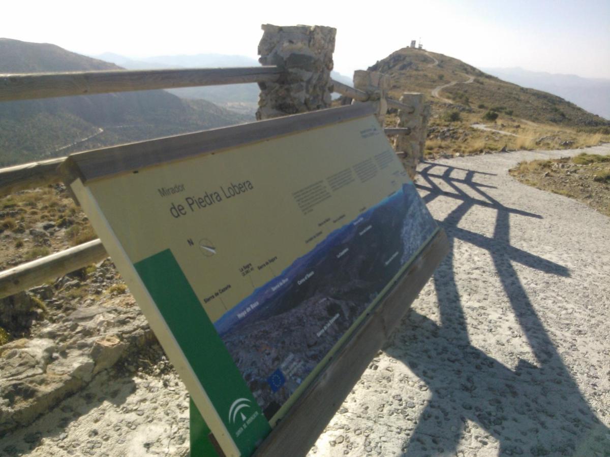 Cortijo Los Soledad El Sauco Bagian luar foto