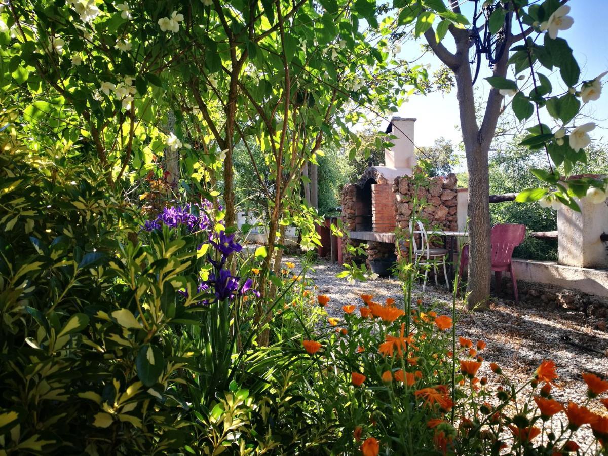 Cortijo Los Soledad El Sauco Bagian luar foto