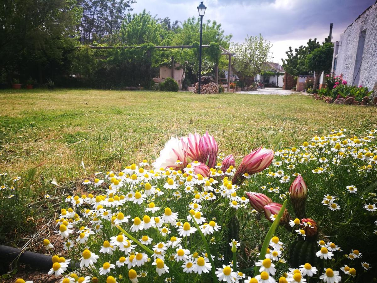 Cortijo Los Soledad El Sauco Bagian luar foto