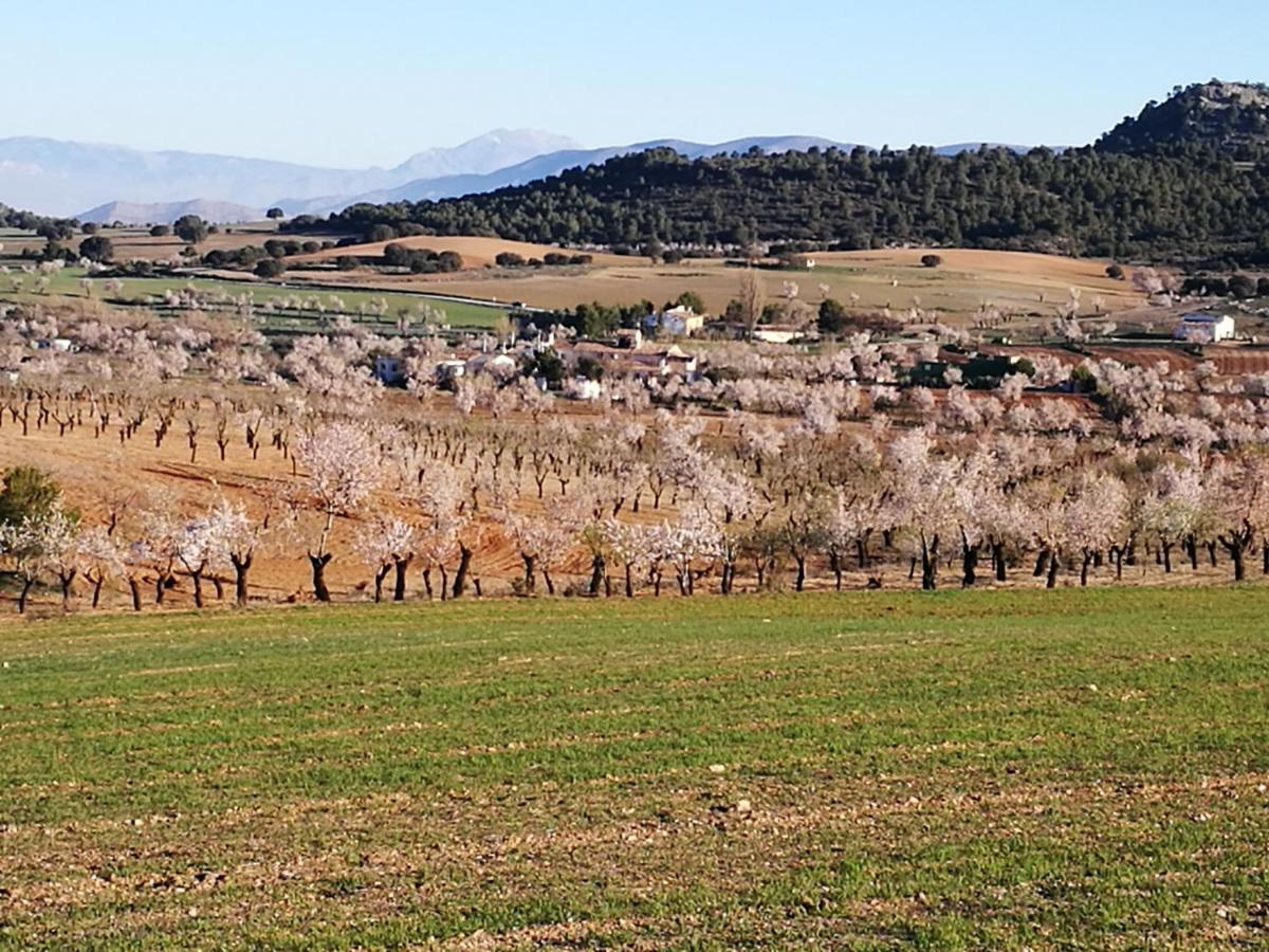 Cortijo Los Soledad El Sauco Bagian luar foto
