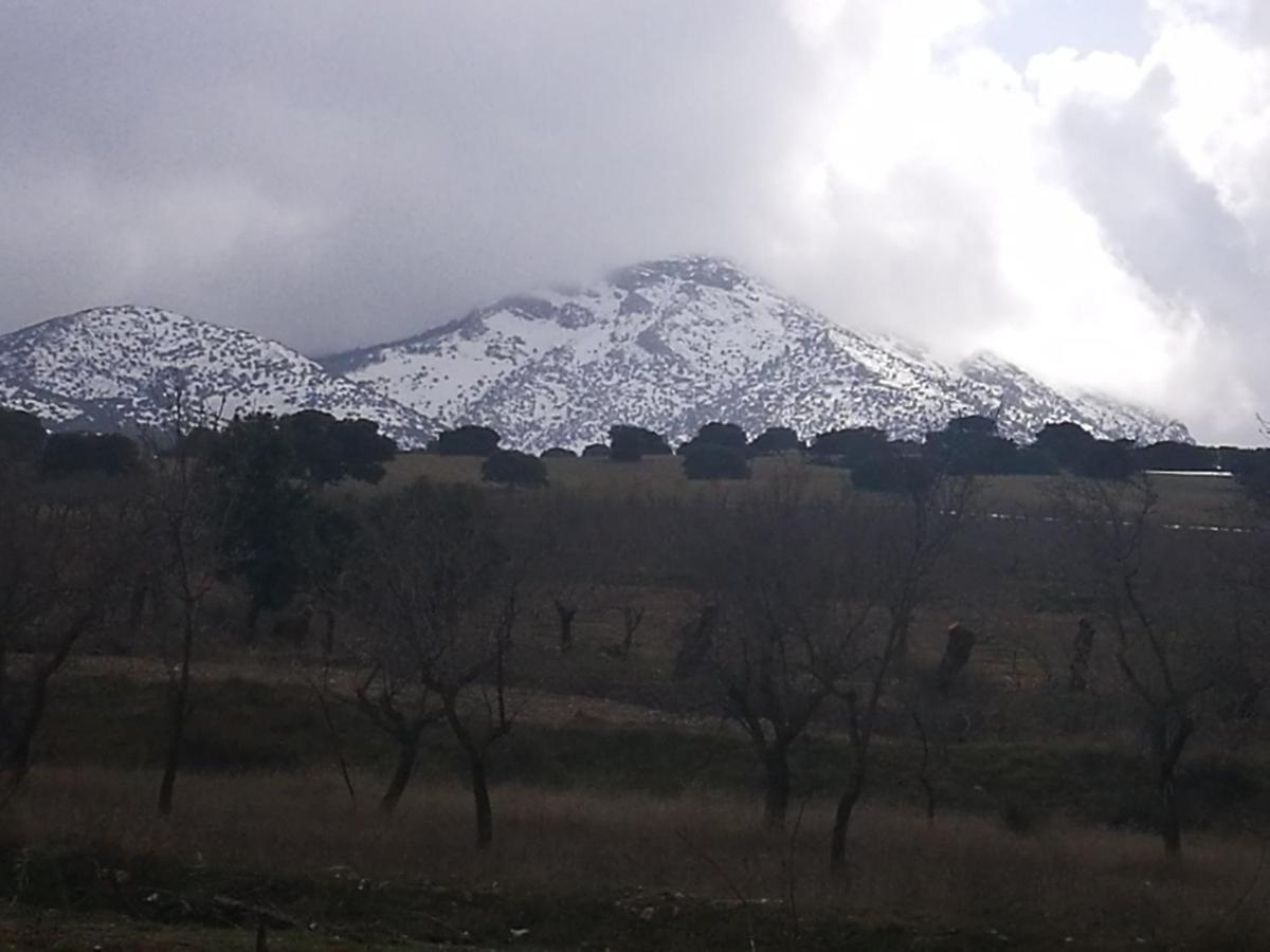 Cortijo Los Soledad El Sauco Bagian luar foto