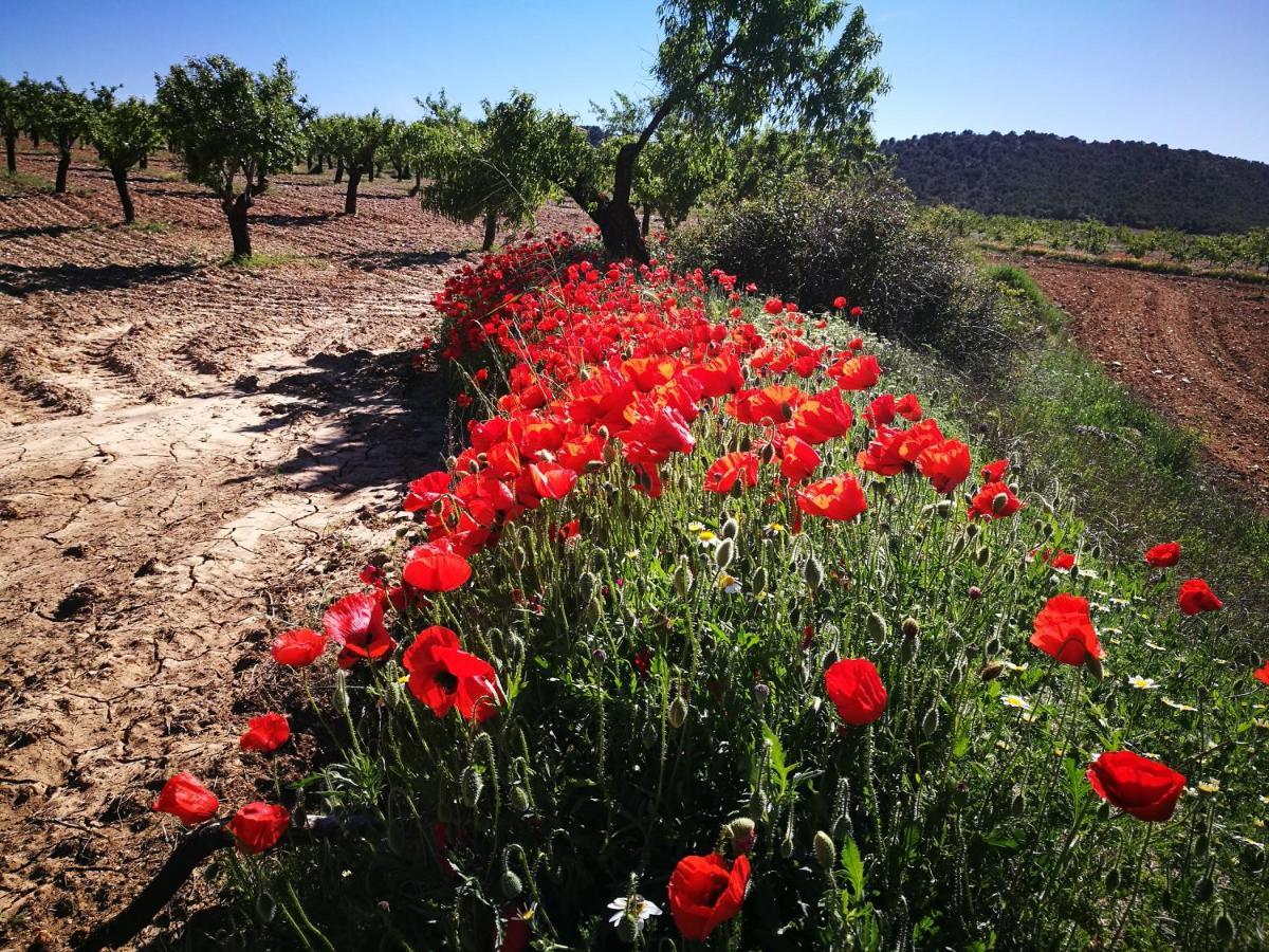 Cortijo Los Soledad El Sauco Bagian luar foto