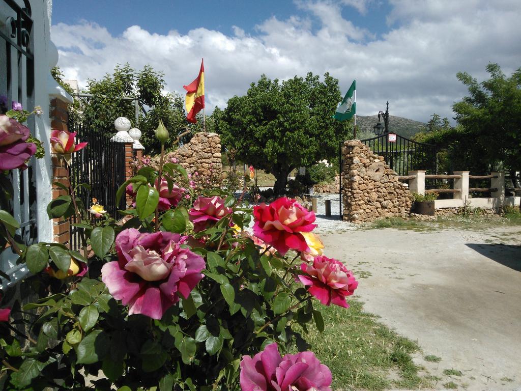 Cortijo Los Soledad El Sauco Bagian luar foto