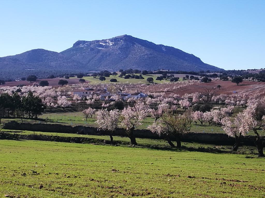 Cortijo Los Soledad El Sauco Bagian luar foto