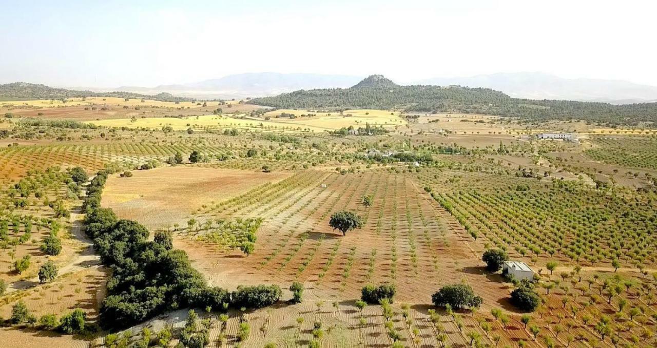 Cortijo Los Soledad El Sauco Bagian luar foto