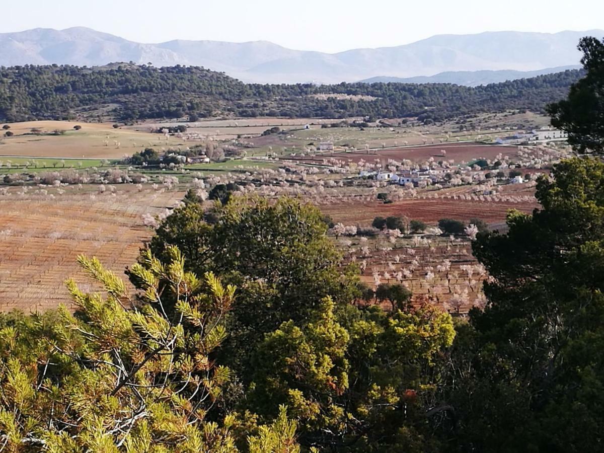 Cortijo Los Soledad El Sauco Bagian luar foto